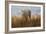 Cheetah in the Field-Jai Johnson-Framed Giclee Print