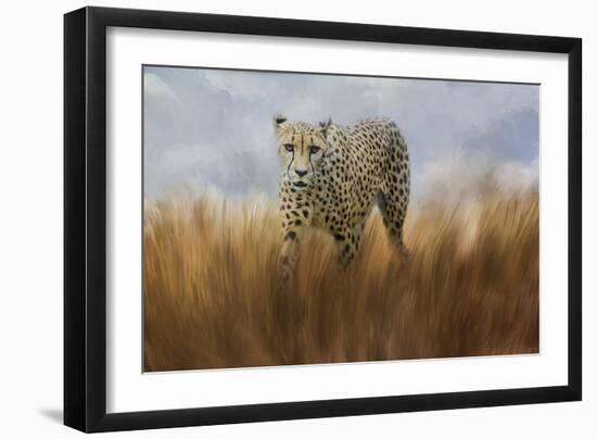 Cheetah in the Field-Jai Johnson-Framed Giclee Print