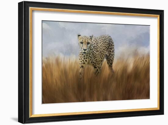 Cheetah in the Field-Jai Johnson-Framed Giclee Print