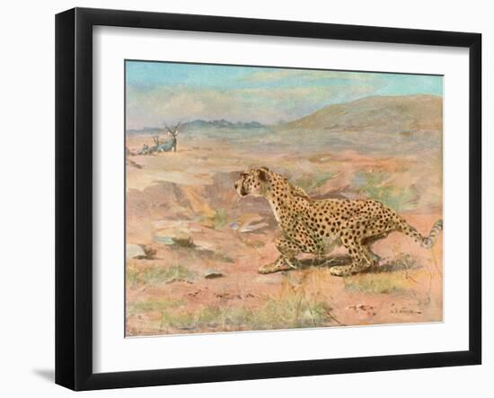 Cheetah in the Wild-Cuthbert Swan-Framed Art Print