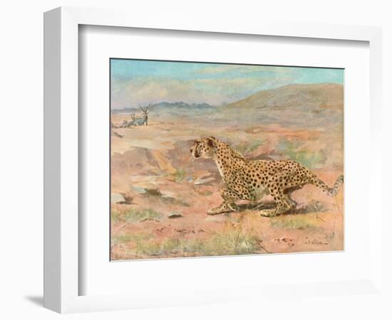 Cheetah in the Wild-Cuthbert Swan-Framed Premium Giclee Print