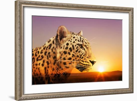 Cheetah, Masai Mara, Kenya, East Africa, Africa-Angelo Cavalli-Framed Photographic Print