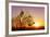 Cheetah, Masai Mara, Kenya, East Africa, Africa-Angelo Cavalli-Framed Photographic Print