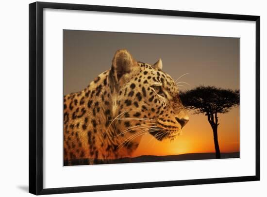 Cheetah, Masai Mara, Kenya, East Africa, Africa-Angelo Cavalli-Framed Photographic Print