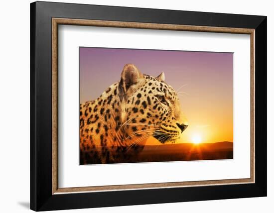 Cheetah, Masai Mara, Kenya, East Africa, Africa-Angelo Cavalli-Framed Photographic Print