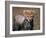 Cheetah, Masai Mara, Kenya-Joe Restuccia III-Framed Photographic Print