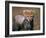 Cheetah, Masai Mara, Kenya-Joe Restuccia III-Framed Photographic Print