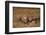 Cheetah Mother and Cubs-DLILLC-Framed Photographic Print