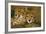 Cheetah Pair-null-Framed Photographic Print