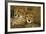 Cheetah Pair-null-Framed Photographic Print