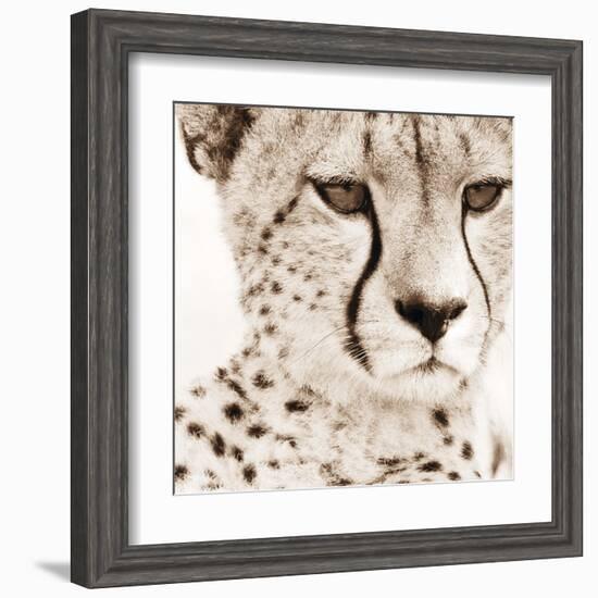 Cheetah Pattern-Frank & Susann Parker-Framed Art Print