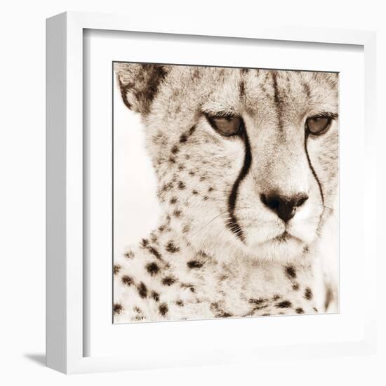 Cheetah Pattern-Frank & Susann Parker-Framed Art Print