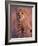 Cheetah, Phinda Reserve, South Africa-Gavriel Jecan-Framed Photographic Print