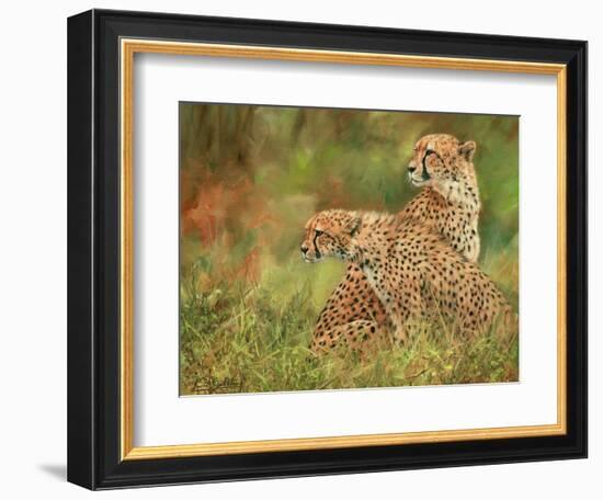 Cheetah Siblings-David Stribbling-Framed Premium Giclee Print