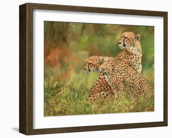 Cheetah Siblings-David Stribbling-Framed Art Print