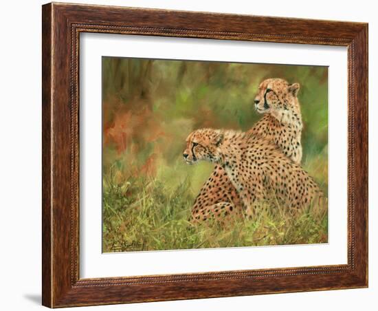 Cheetah Siblings-David Stribbling-Framed Art Print