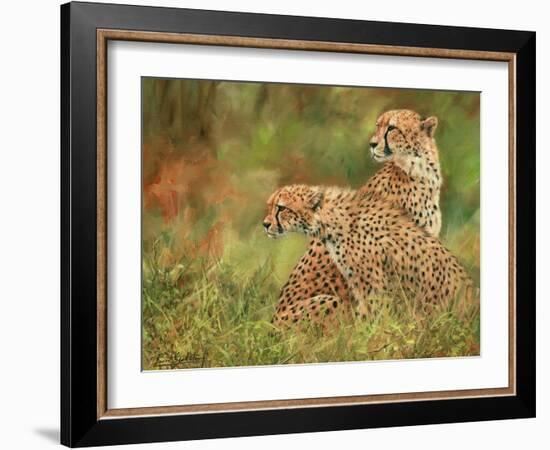 Cheetah Siblings-David Stribbling-Framed Art Print