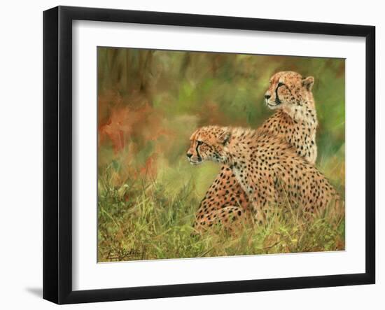 Cheetah Siblings-David Stribbling-Framed Art Print