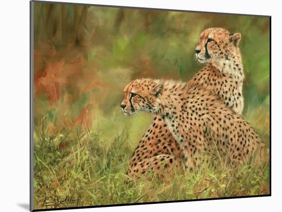 Cheetah Siblings-David Stribbling-Mounted Art Print