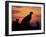 Cheetah Silhouetted By Sunset, Masai Mara Game Reserve, Kenya-Paul Souders-Framed Photographic Print