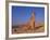 Cheetah, Tsaobis Leopard Park, Namibia-Tony Heald-Framed Photographic Print