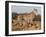 Cheetah with Cub (Acinonyx Jubatus), Phinda Private Game Reserve, Kwazulu Natal, South Africa-Ann & Steve Toon-Framed Photographic Print