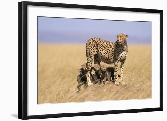 Photographic Print, , large