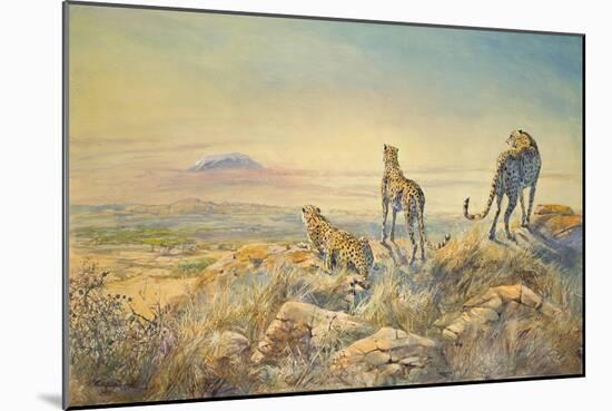 Cheetah with Kilimanjaro in the Background, 1991-Tim Scott Bolton-Mounted Giclee Print