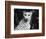 Cheetah-Henry Horenstein-Framed Photographic Print