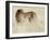 Cheetah-Eric Meyer-Framed Photographic Print