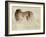 Cheetah-Eric Meyer-Framed Photographic Print