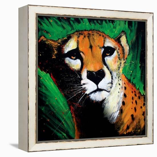 Cheetah-null-Framed Stretched Canvas