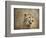 Cheetah-Jai Johnson-Framed Giclee Print