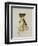 Cheetah-Sydney Edmunds-Framed Giclee Print