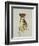 Cheetah-Sydney Edmunds-Framed Giclee Print