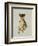 Cheetah-Sydney Edmunds-Framed Giclee Print