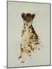 Cheetah-Sydney Edmunds-Mounted Giclee Print