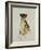 Cheetah-Sydney Edmunds-Framed Giclee Print