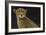 Cheetah-Durwood Coffey-Framed Giclee Print