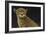 Cheetah-Durwood Coffey-Framed Giclee Print