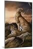 Cheetahs of Dusk-Trevor V. Swanson-Mounted Giclee Print