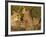 Cheetahs, Upper Mara, Masai Mara Game Reserve, Kenya-Joe & Mary Ann McDonald-Framed Photographic Print