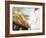 Chef Hurrying Through Kitchen with Baguettes-null-Framed Photographic Print