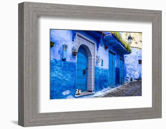 Chefchaouen, Morocco. Cat and blue door and buildings-Jolly Sienda-Framed Photographic Print