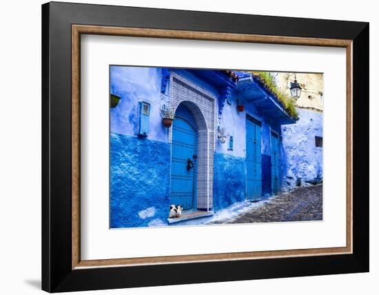 Chefchaouen, Morocco. Cat and blue door and buildings-Jolly Sienda-Framed Photographic Print