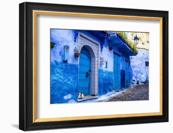 Chefchaouen, Morocco. Cat and blue door and buildings-Jolly Sienda-Framed Photographic Print