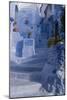 Chefchaouen, Morocco-Natalie Tepper-Mounted Photo