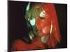 Chelsea Girls, Nico, 1966-null-Mounted Photo