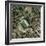 Chelsea's Stamford Bridge Stadium, Aerial-Getmapping Plc-Framed Premium Photographic Print