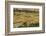 Chemde Monastery, near Karu, Corn Field around Monastery-Guido Cozzi-Framed Photographic Print